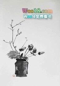 月落归林小说全文txt