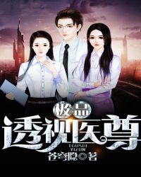 极品透料文玩价格